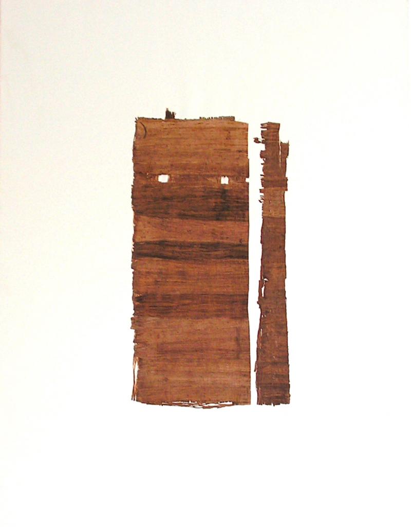 Contre-Courant-XXII-huile-papyrus-116-x-89.jpg